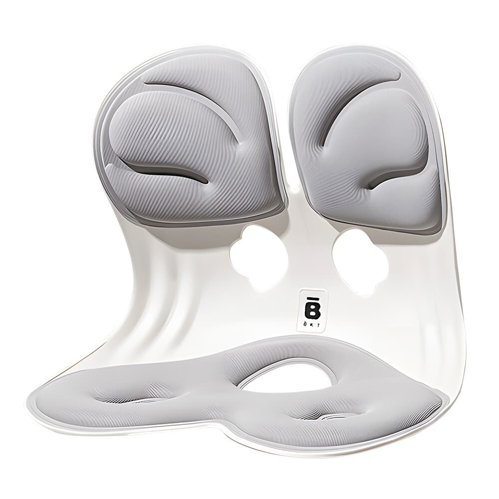 Xiaomi BKT Ergonomic Lumbar Support Chair (Large) – Model GB/T32487-2016